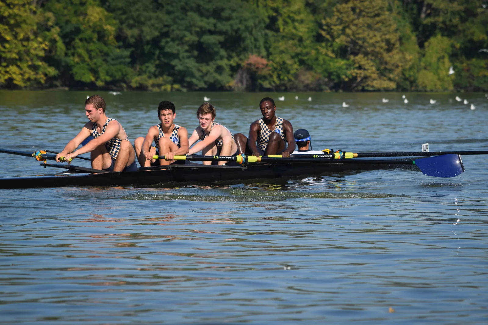 A men's four sweeping across the Maumee River